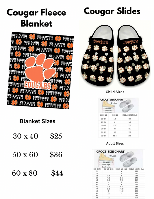 North Daviess Student Council